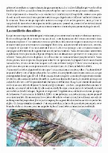 428 PILOTE AU PMAH-12eme-DI (18)